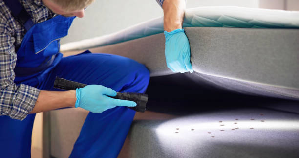 Best Cockroach Control Services  in Bridgeton, MO