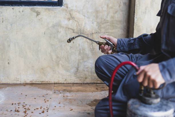Best Best Pest Control Companies  in Bridgeton, MO