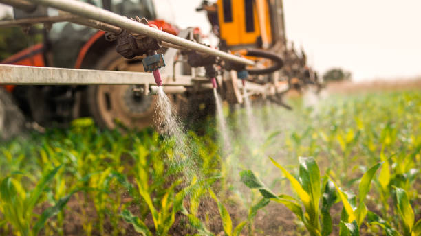 Best Commercial Pest Control Services  in Bridgeton, MO